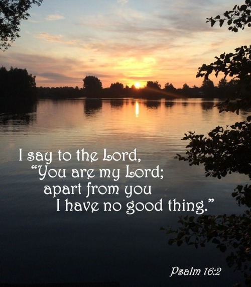 #DailyDevotion Is The LORD Alone Your Every Good? | Hope Lutheran Chapel